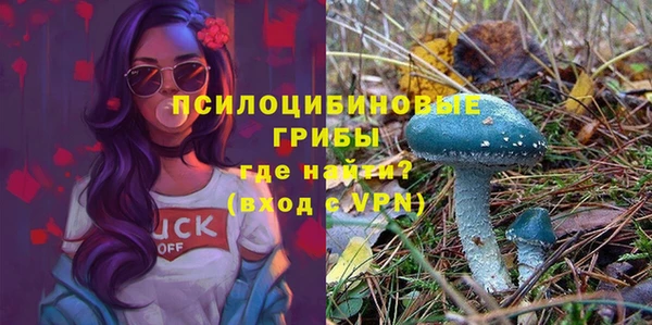 сатива Алзамай