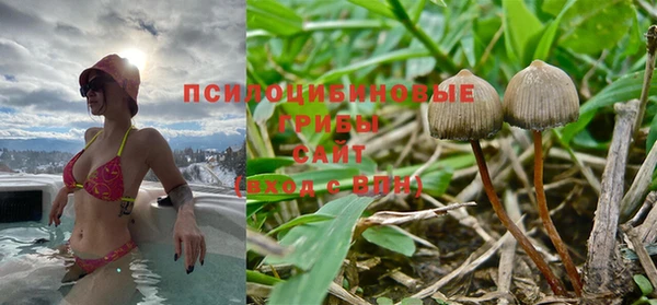 дмт Алексин