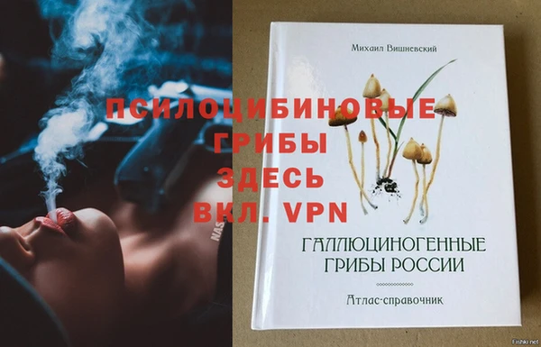 PSILOCYBIN Бежецк