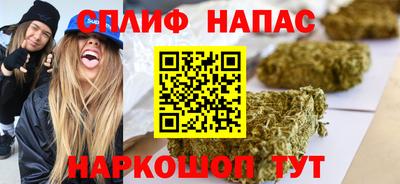 стафф Бердск