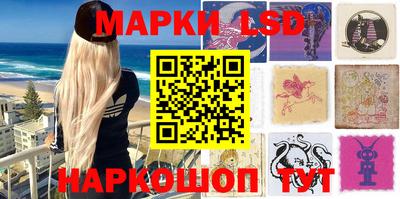 стафф Бердск