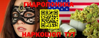стафф Бердск