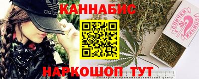 стафф Бердск