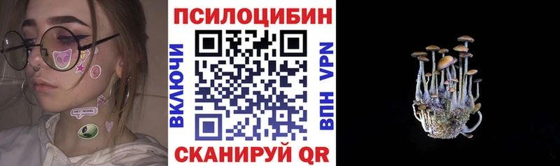 Псилоцибиновые грибы Cubensis  Кореновск 